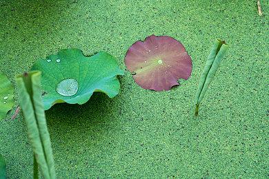 《如龙》总监：游戏并非描绘真实的日本黑帮 更多的是探索人性